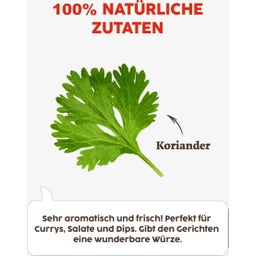KOTÁNYI Korianderblätter geschnitten - 11 g