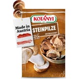 KOT&Aacute;NYI Steinpilze