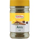 KOTÁNYI Anis ganz